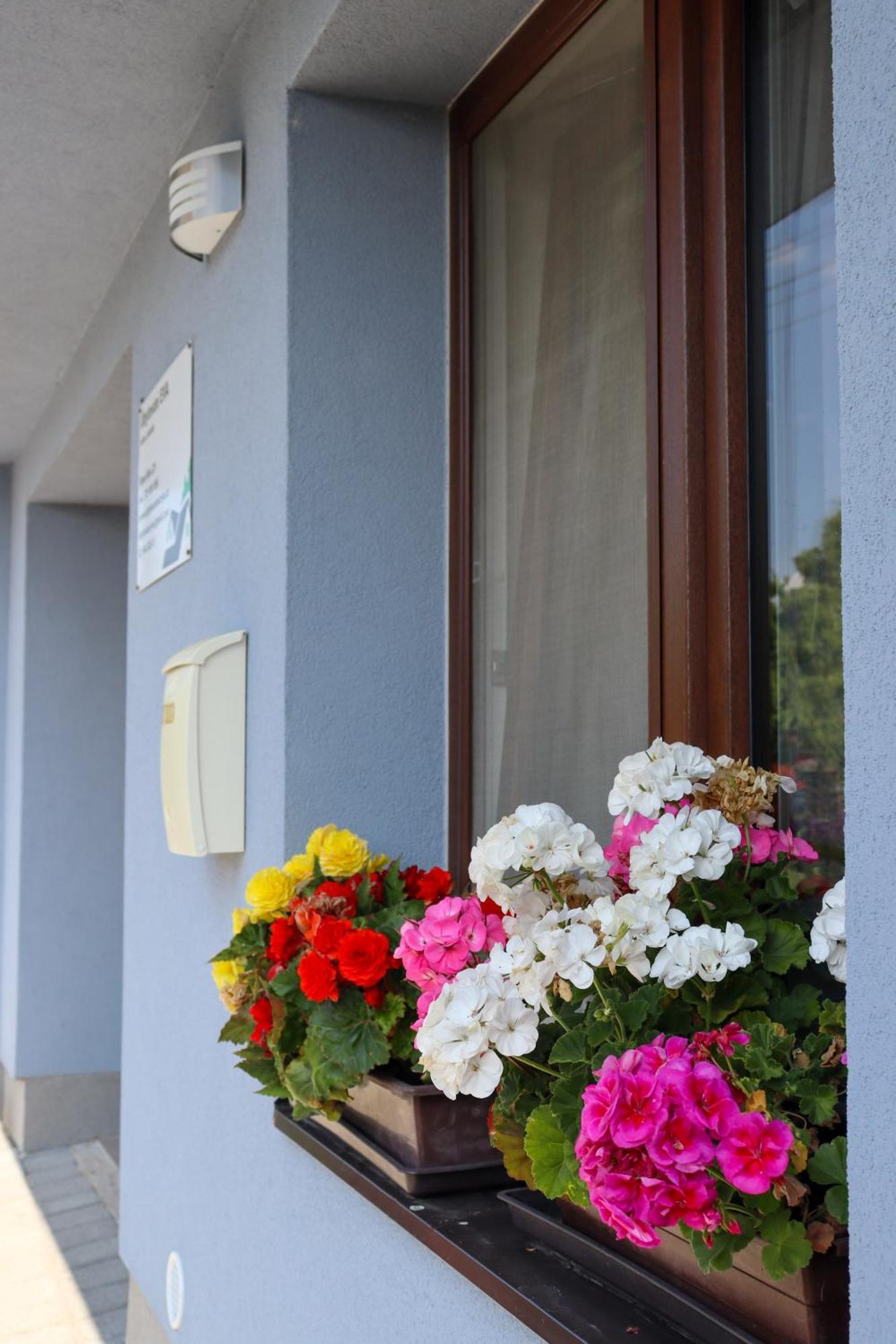 Ubytovani Eva Stara Rise Exterior photo